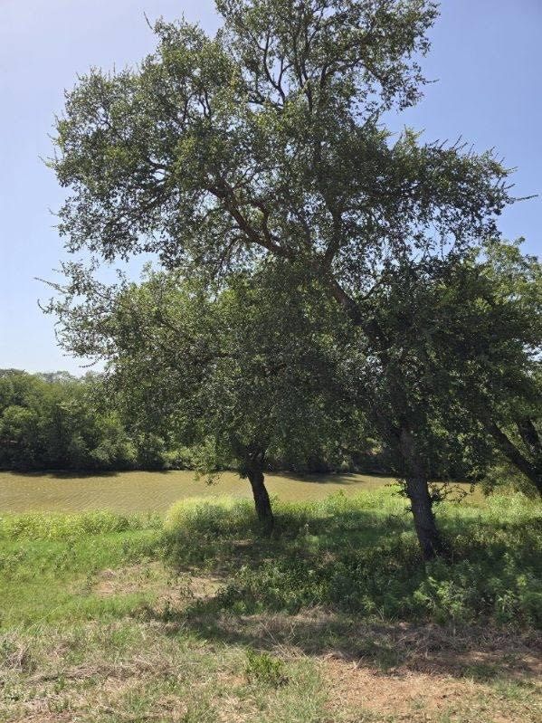 Real estate property located at 416 & 418 CR 433, Mills, LIVE OAK II, Mullin, TX, US