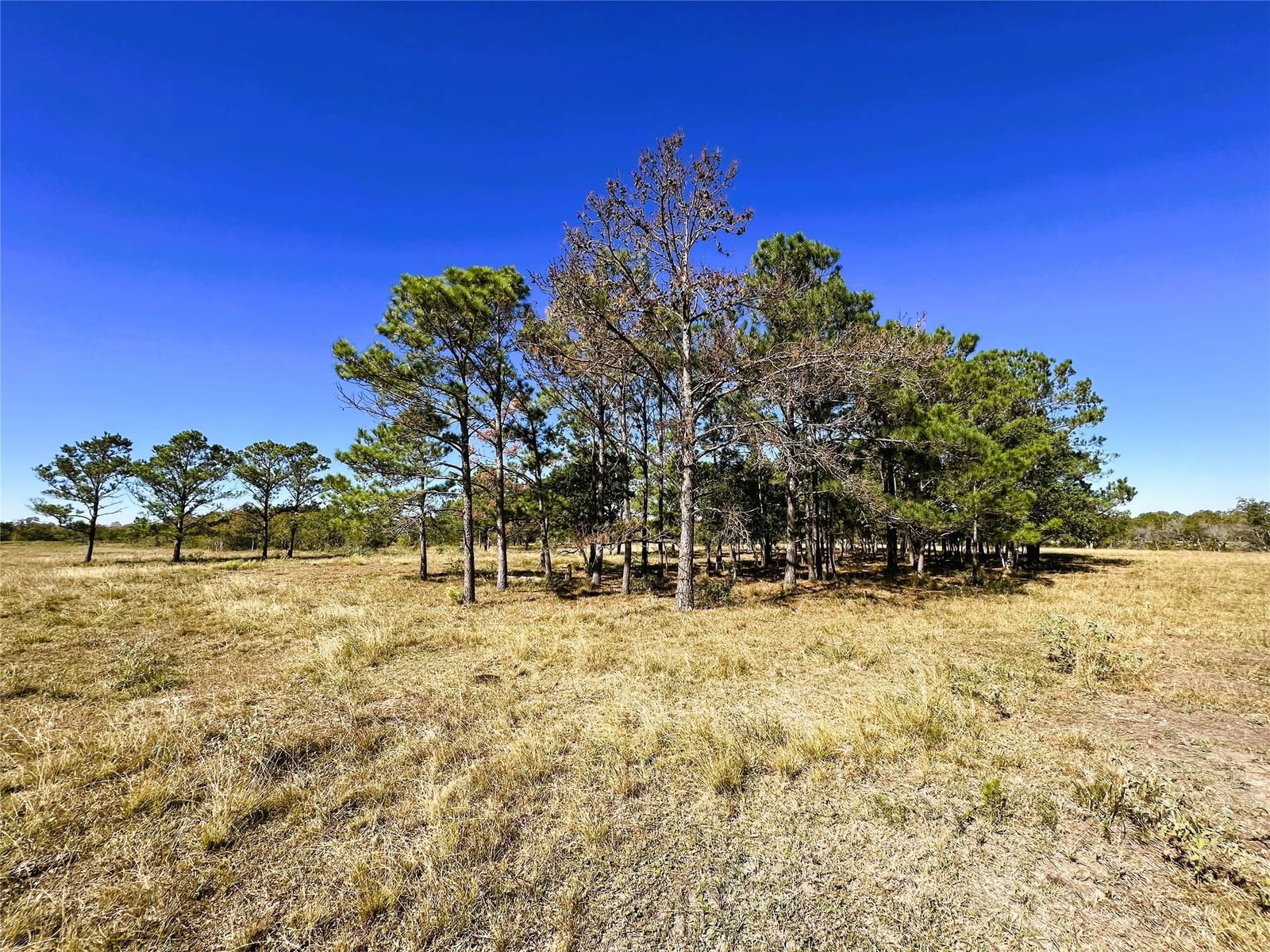 Real estate property located at 0021 Eagle Rd, Chambers, Anahuac, Anahuac, TX, US