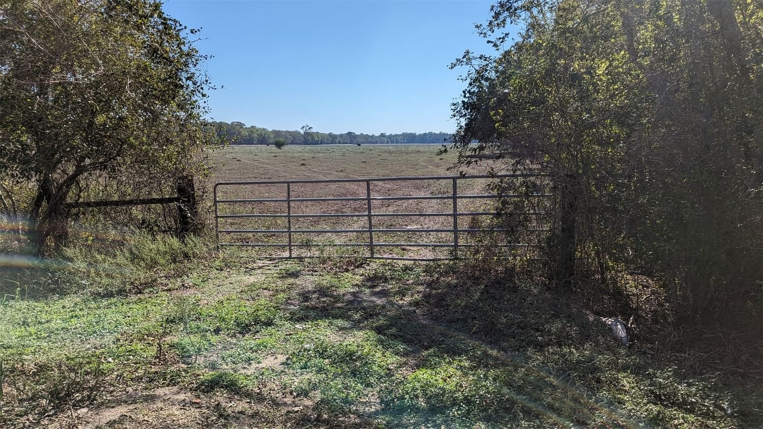 Real estate property located at 0000 County Rd 159, Wharton, David Hamilton League, Hungerford, TX, US