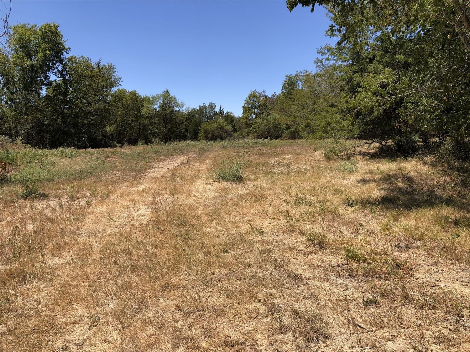 Real estate property located at 76.47ac Clay, Brazos, ., Navasota, TX, US