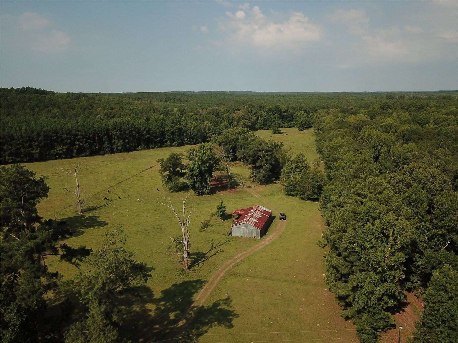 Real estate property located at TBD Fm 1414, Newton, Burkeville, TX, US
