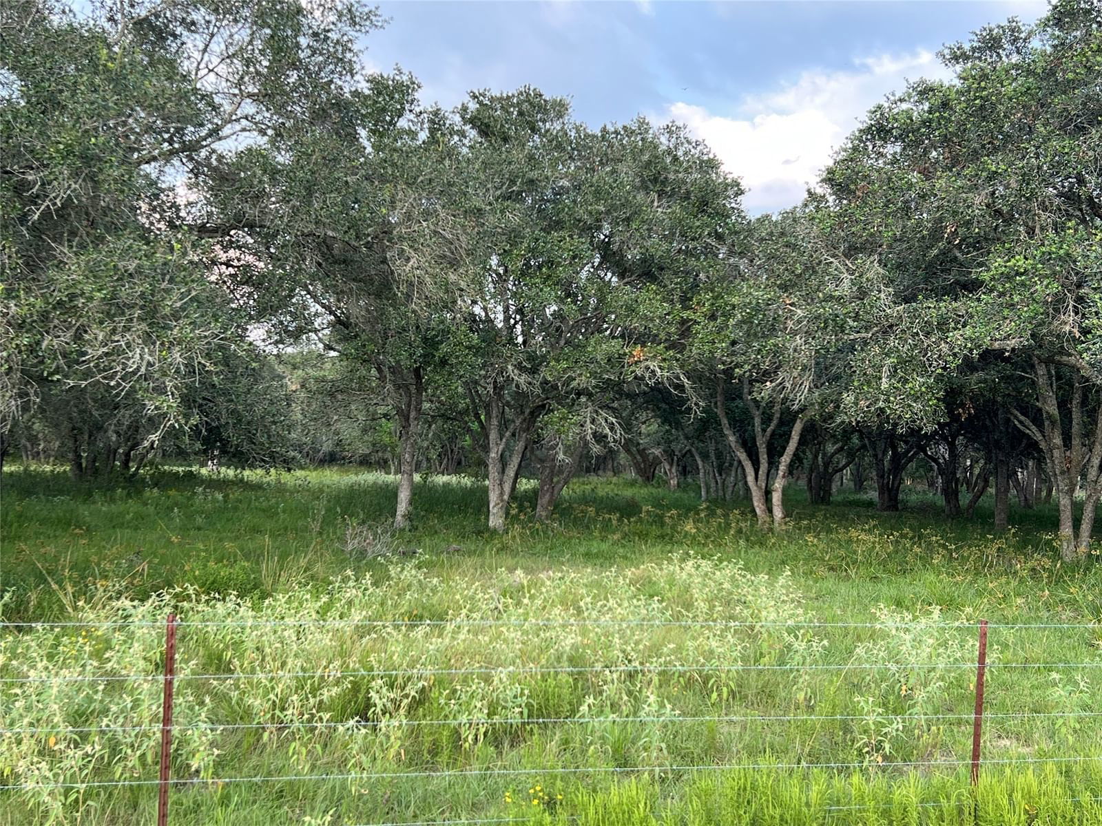 Real estate property located at 00 County Road 394, Wharton, Abstract 861, El Campo, TX, US