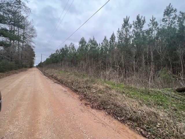 Real estate property located at Tract 7 Tram, Polk, A Viesca Surv Abs #77, Livingston, TX, US