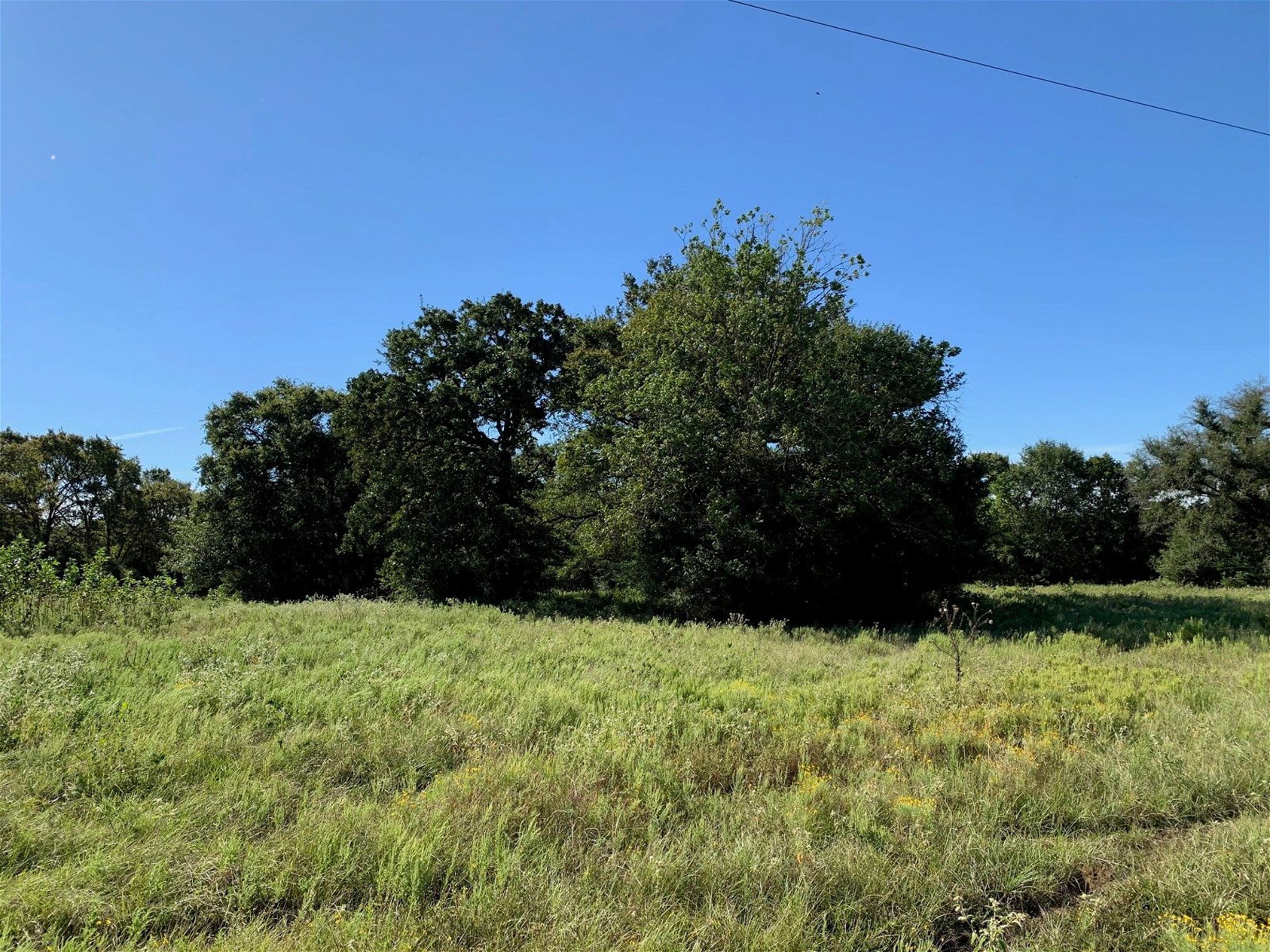 Real estate property located at 133 ac FM 39, Leon, None, Normangee, TX, US