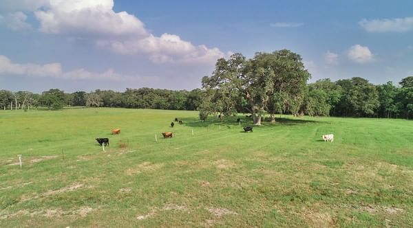 Real estate property located at 7947 County Road 284, Jackson, None, Edna, TX, US