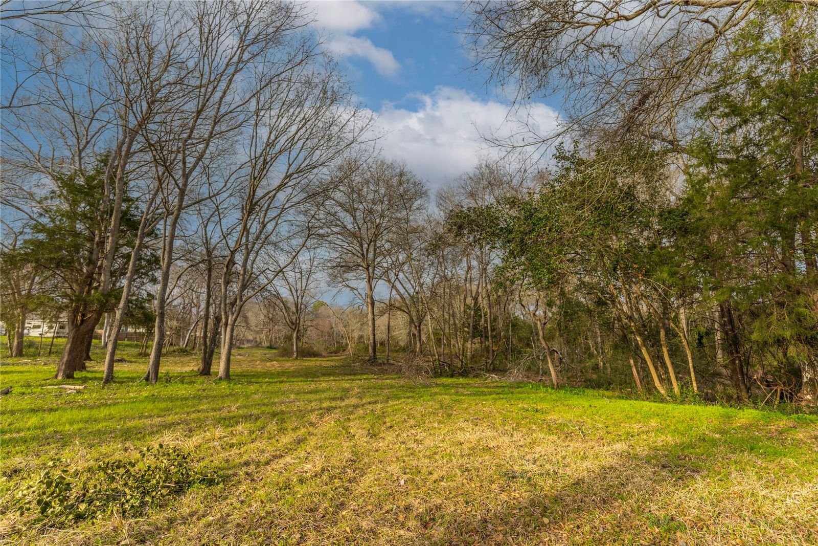 Real estate property located at 143 Wild Phlox, Austin, South Forty Sub, Bellville, TX, US