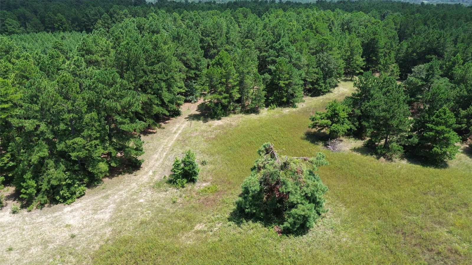 Real estate property located at 00 An County Road 1220, Anderson, 00, Grapeland, TX, US