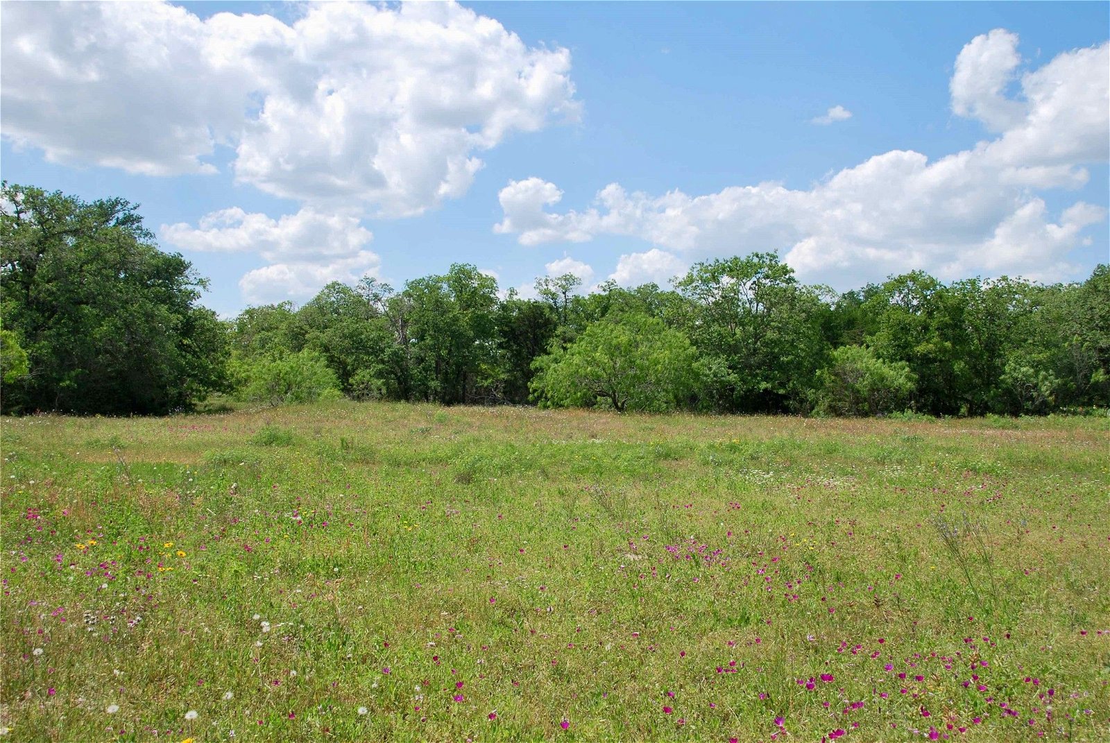 Real estate property located at 3802 County Rd 397, Gonzales, Moulton, TX, US