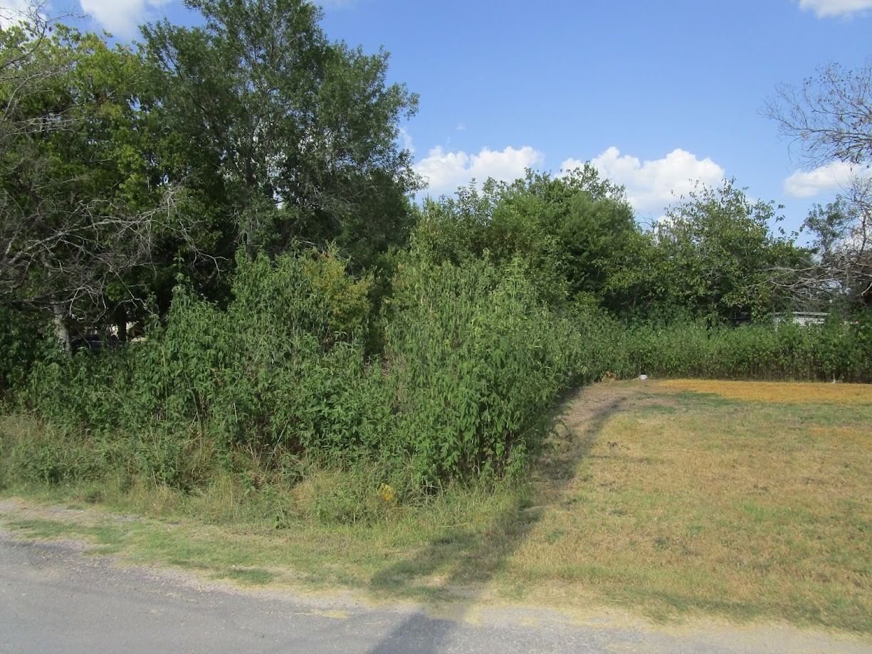 Real estate property located at 0 Louise, Grimes, Camp Sub, Navasota, TX, US