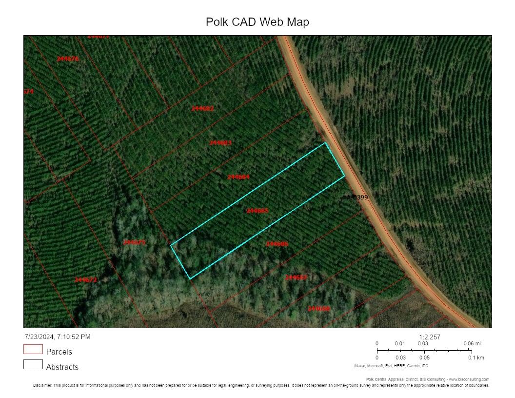 Real estate property located at Lot 31 Soda, Polk, Green Pines, Livingston, TX, US