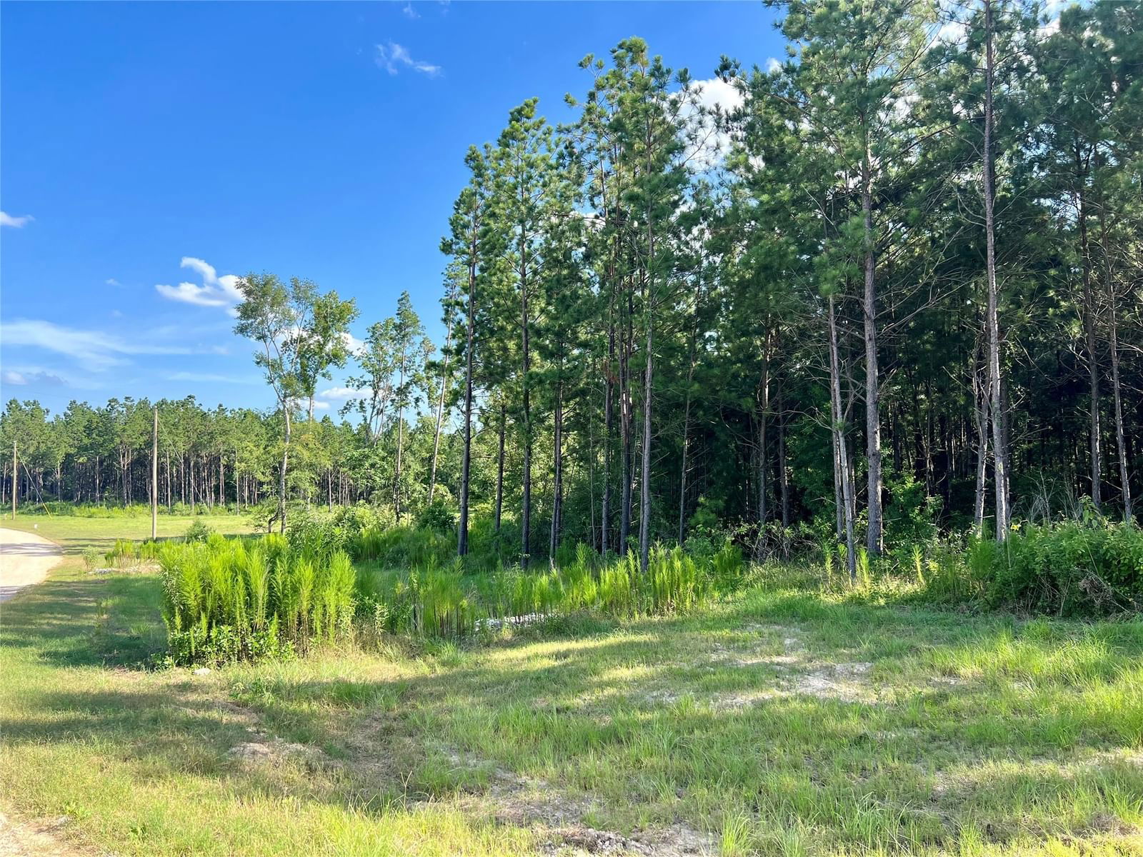 Real estate property located at TBD 31 Bonfire, Polk, Rolling Pines Sec 2, Livingston, TX, US