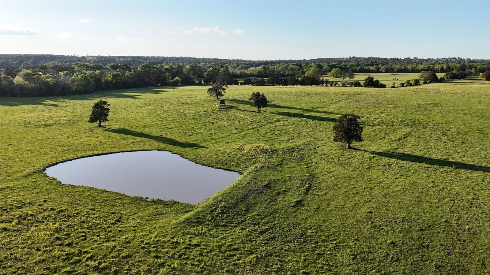 Real estate property located at 3607 County Road 176, Grimes, GIBBONS CREEK, Bedias, TX, US
