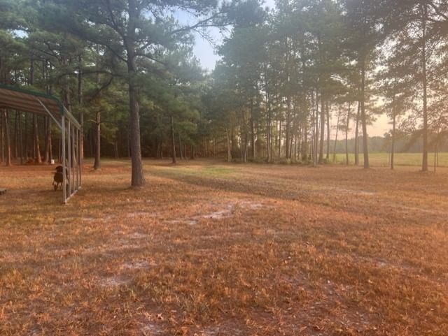 Real estate property located at TBD Farm Road 350 Off, Polk, NA, Livingston, TX, US