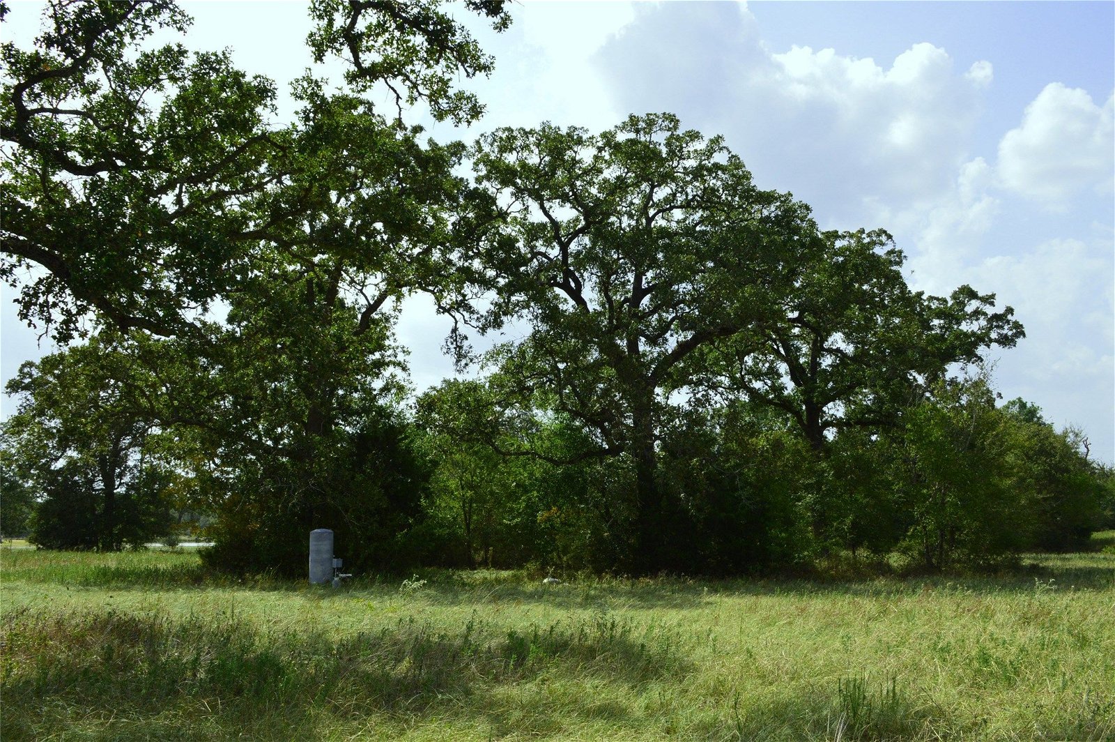 Real estate property located at TBD Highway 90, Grimes, Bedias, TX, US