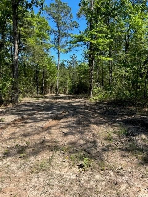 Real estate property located at 39-A Fm 1751, San Augustine, Broaddus, TX, US