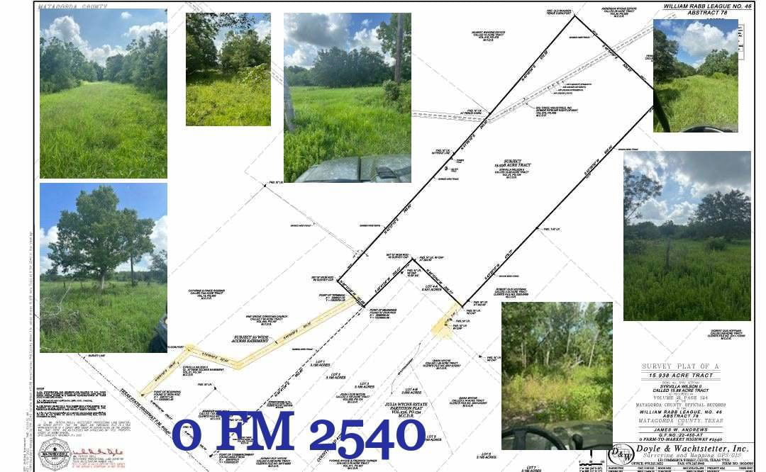 Real estate property located at 0 FM 2540, Matagorda, William Rabb League #46 Abs 78, Van Vleck, TX, US