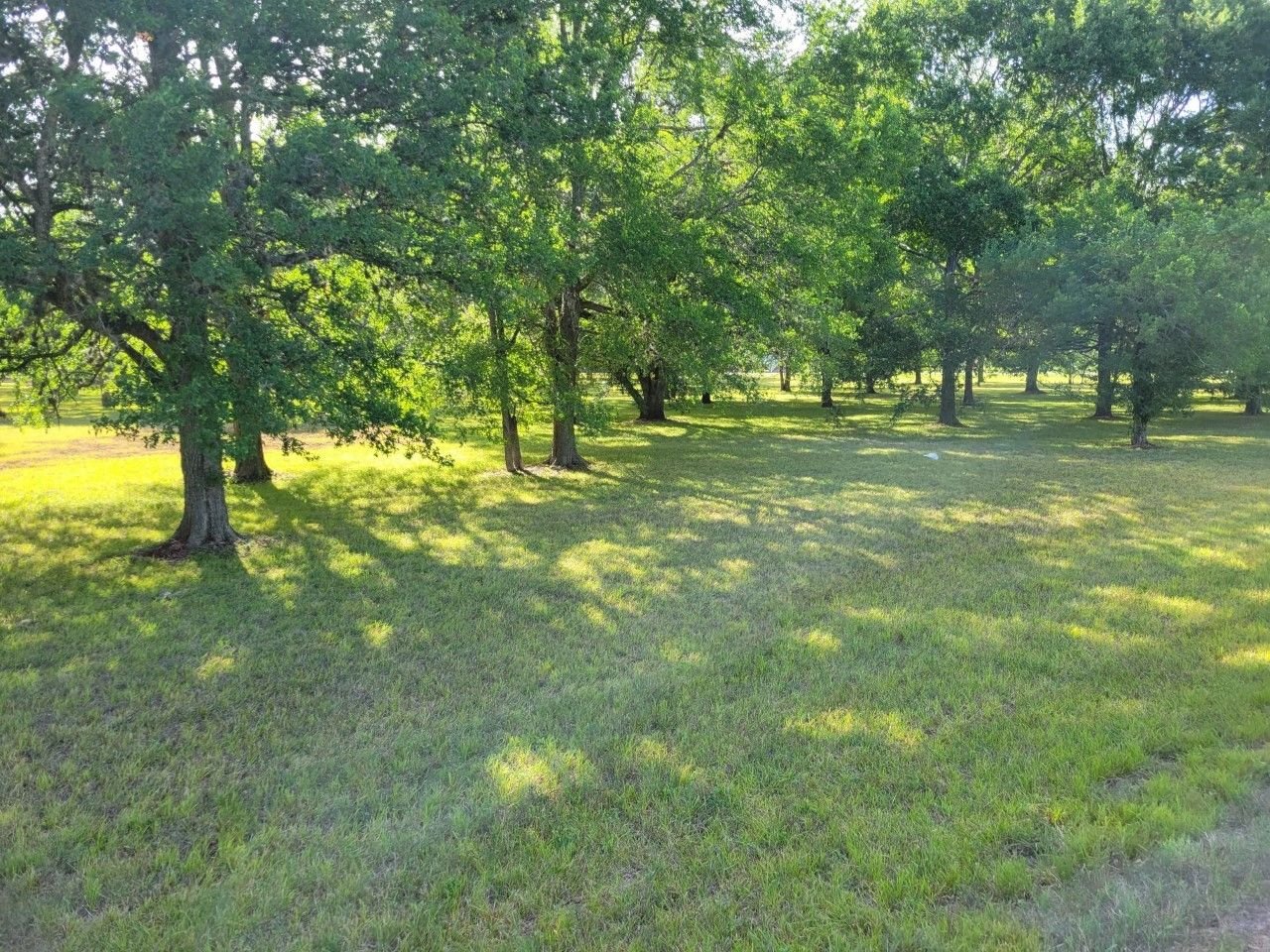 Real estate property located at 00 Custer And Wagon, Wagon And Cheyenne, Fort Bend, Simonton, TX, US