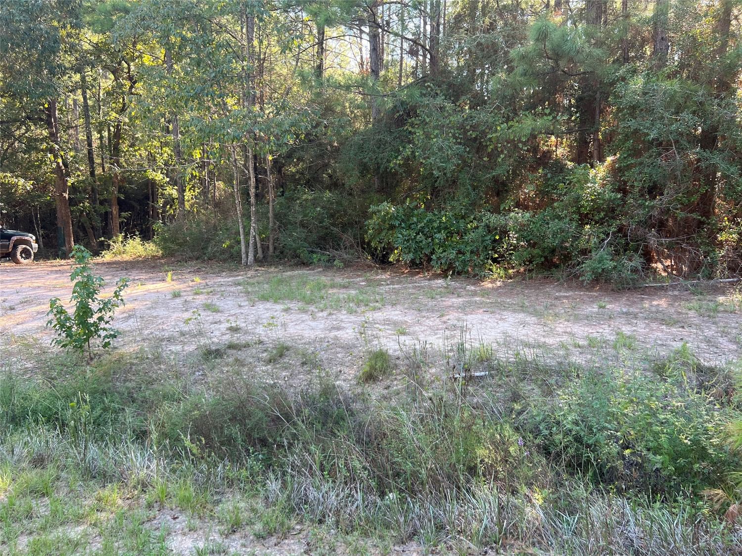 Real estate property located at TBD Persimmon, Polk, Onalaska, TX, US