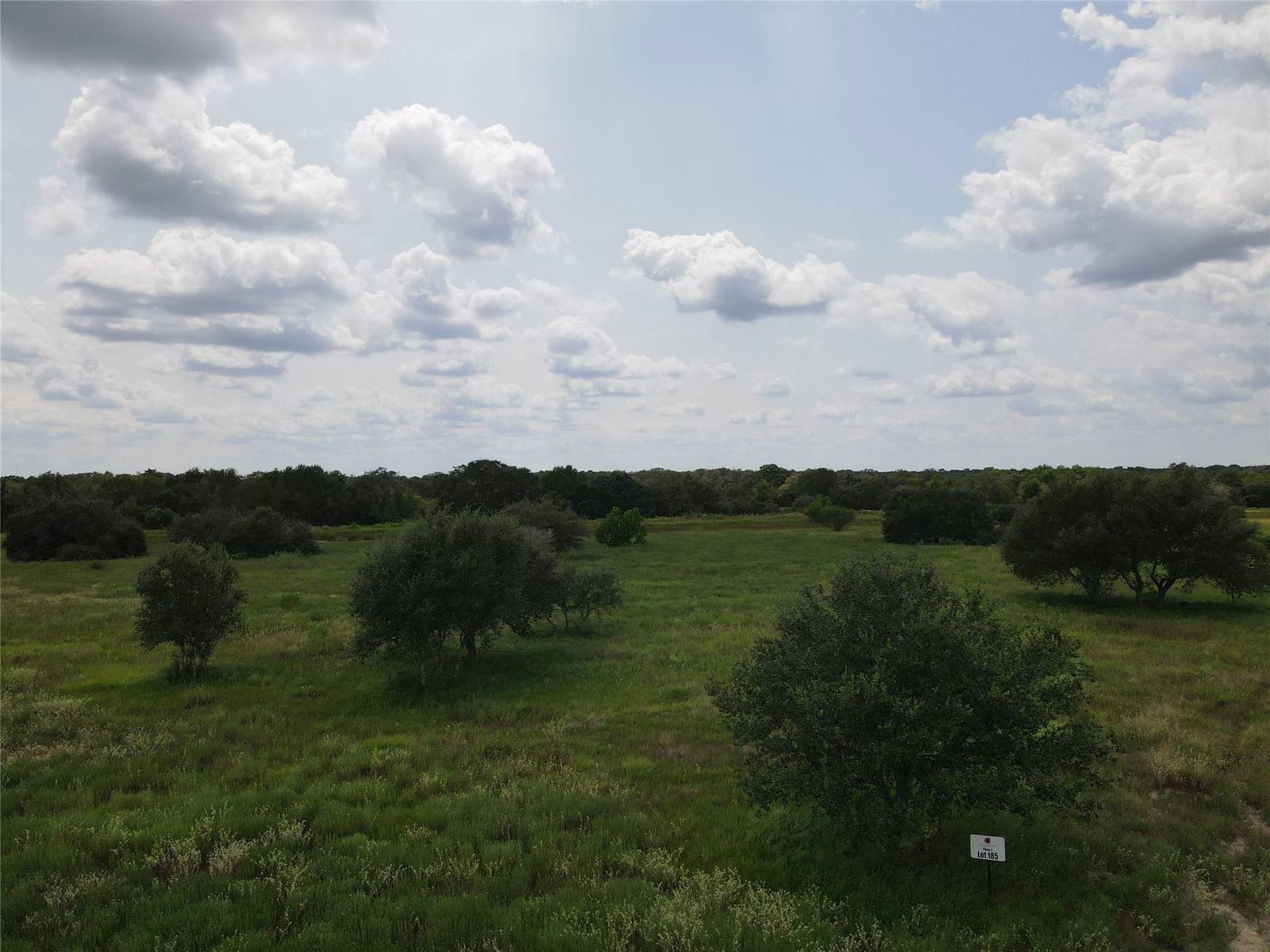 Real estate property located at LOT 185 TEAL LANE, Colorado, WILD WING PRESERVE, Columbus, TX, US