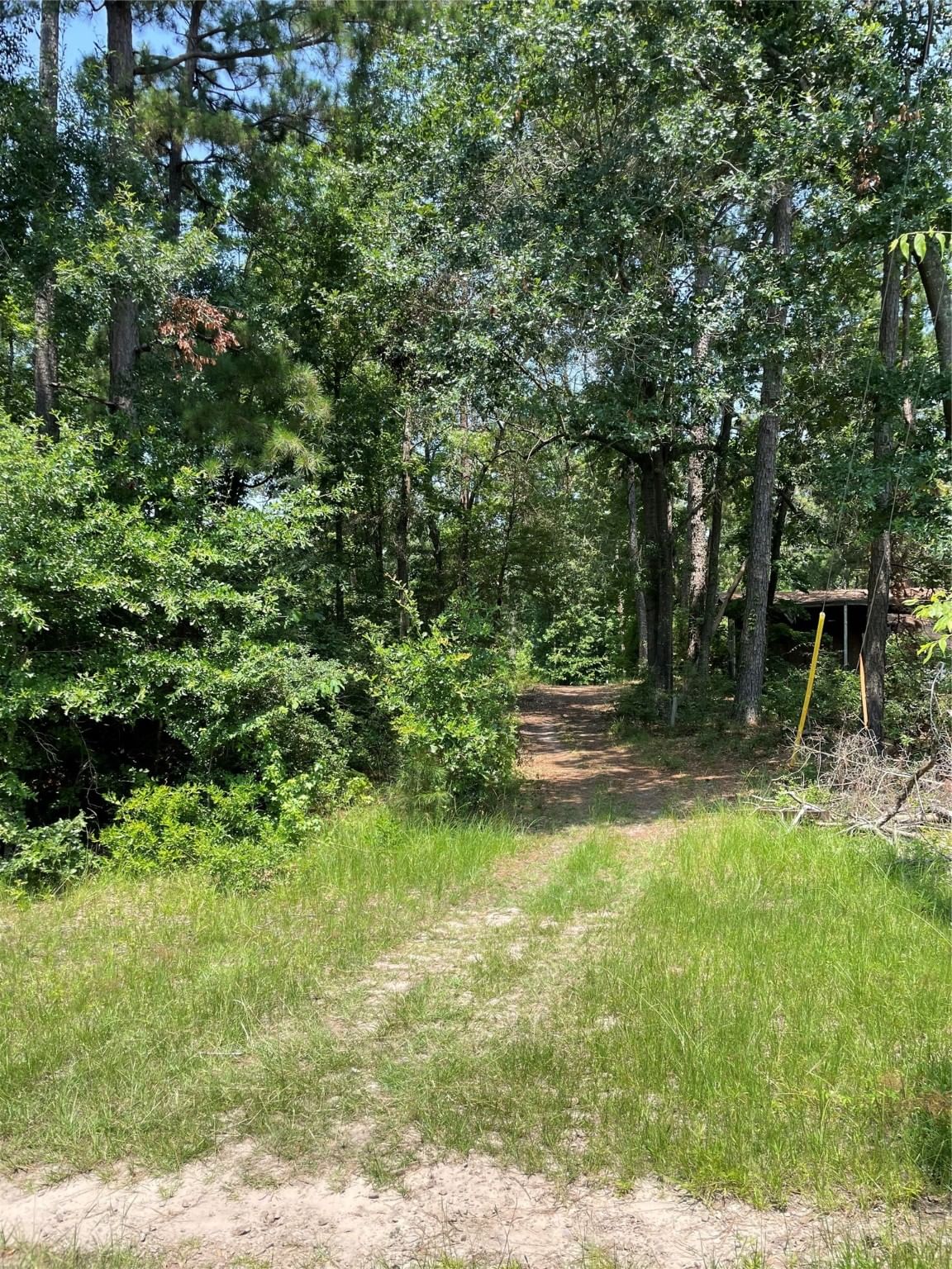 Real estate property located at 000 Pin Oak, Polk, Livingston, TX, US