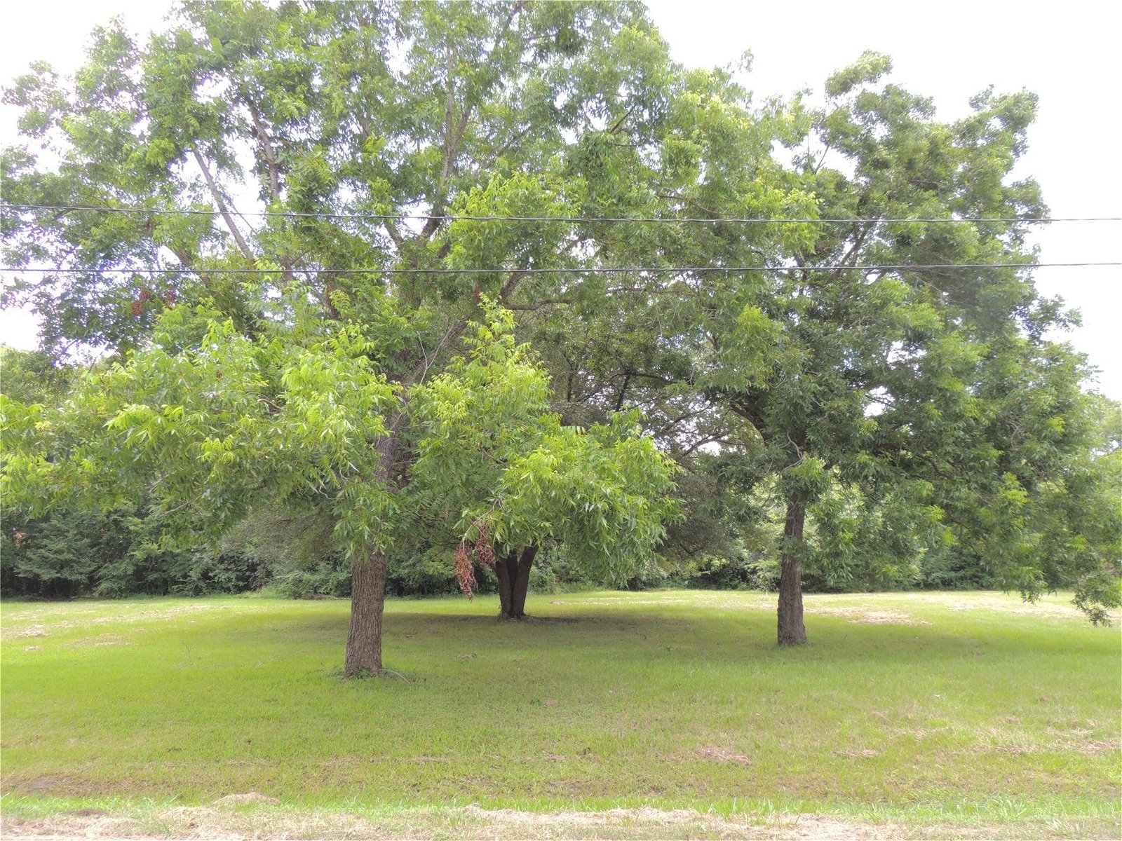 Real estate property located at 219 6th STREET, Montgomery, MAGNOLIA TOWNSITE, Magnolia, TX, US