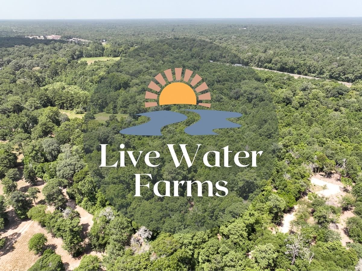 Real estate property located at S1L3 Lake Pool Rd, San Jacinto, Live Water Farms, Shepherd, TX, US