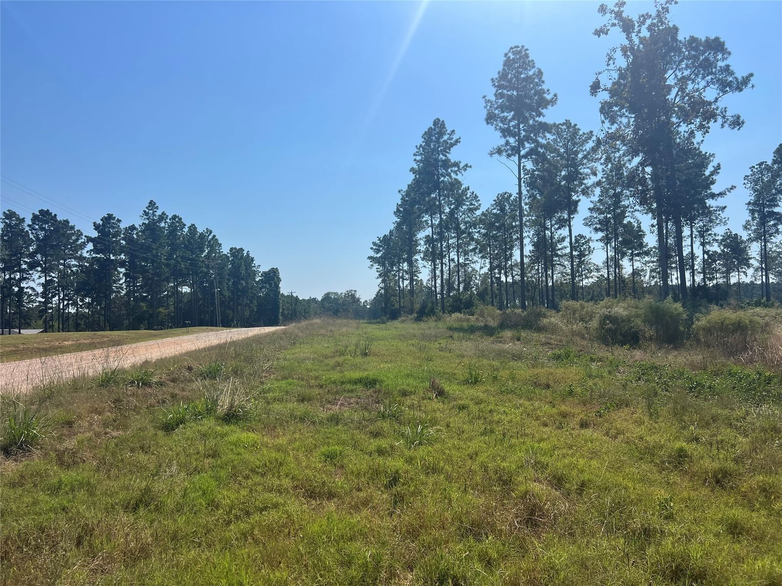 Real estate property located at TBD 1 Red Lowe, Polk, Rolling Pines, Livingston, TX, US