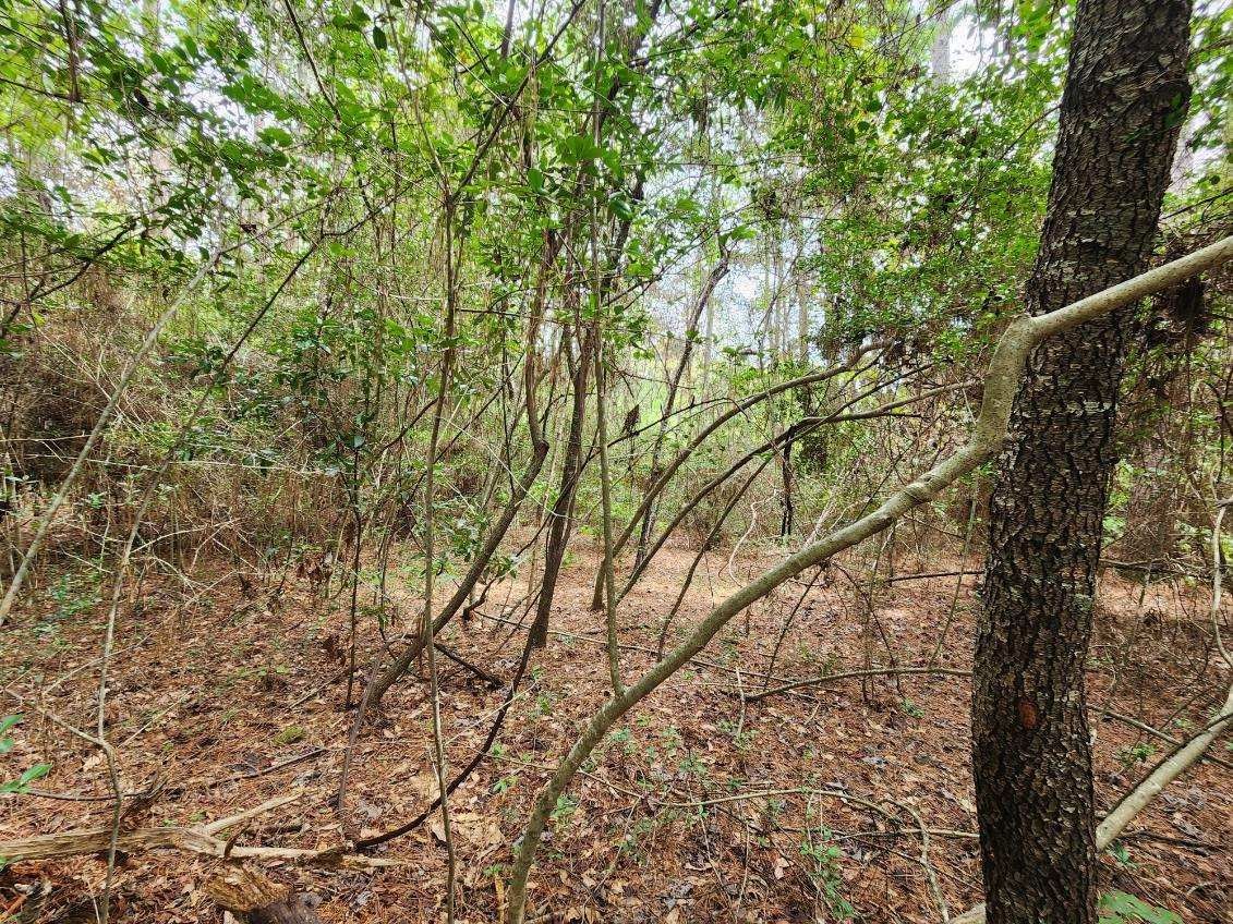 Real estate property located at TBD1 Lake Shore, Montgomery, Conroe, TX, US