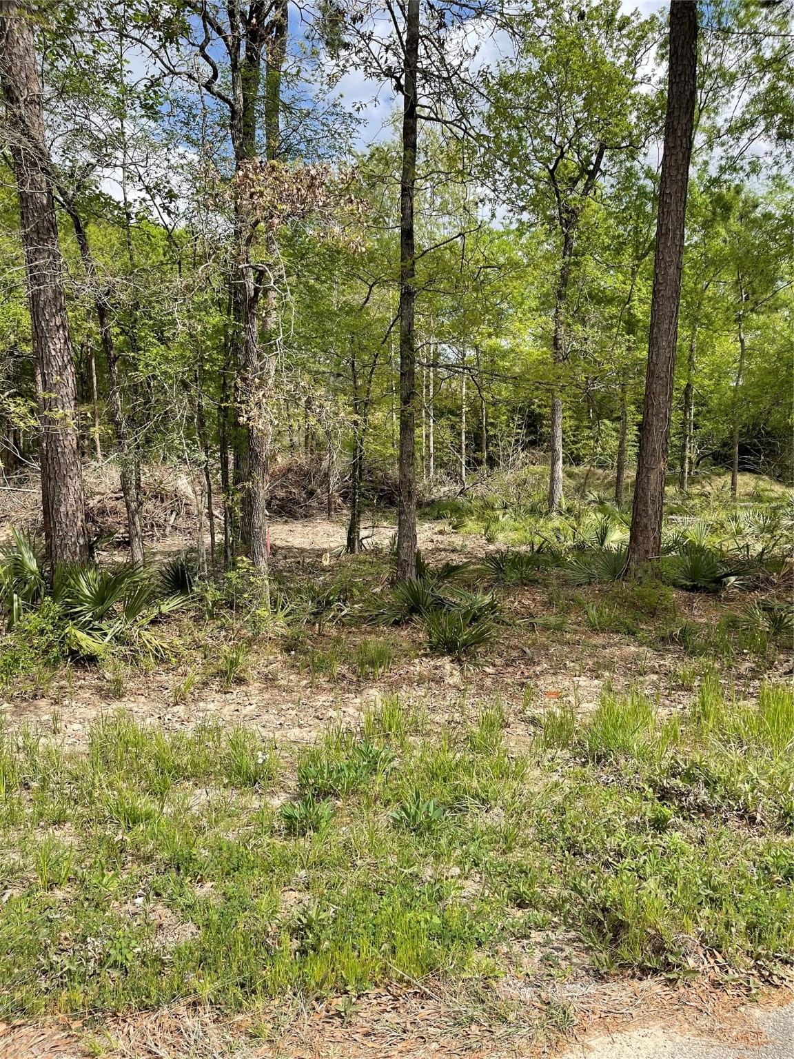 Real estate property located at N/A Spindle Oaks, Montgomery, Tall Timbers 02, Conroe, TX, US