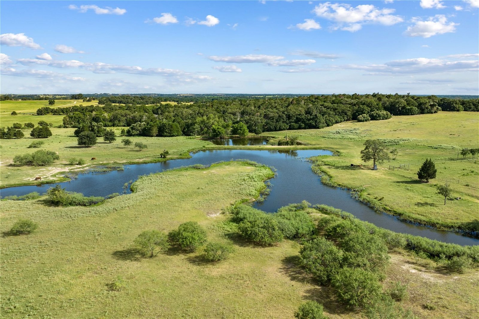 Real estate property located at 3313 County Road 323, Lee, N/A, Lexington, TX, US