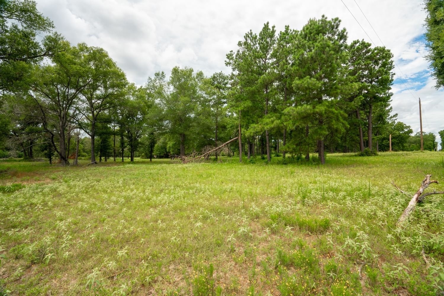 Real estate property located at 247 Fm, Madison, A0224 - JOHN VIVEN, Midway, TX, US