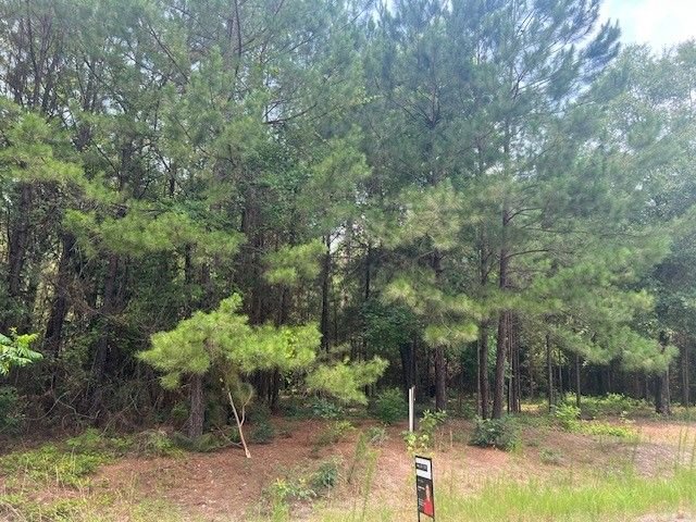 Real estate property located at TBD 9th, Tyler, Lake Tristan, Woodville, TX, US
