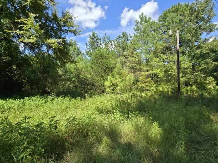 Real estate property located at TBD FM 980, Walker, Ethan Allen Surv, Huntsville, TX, US