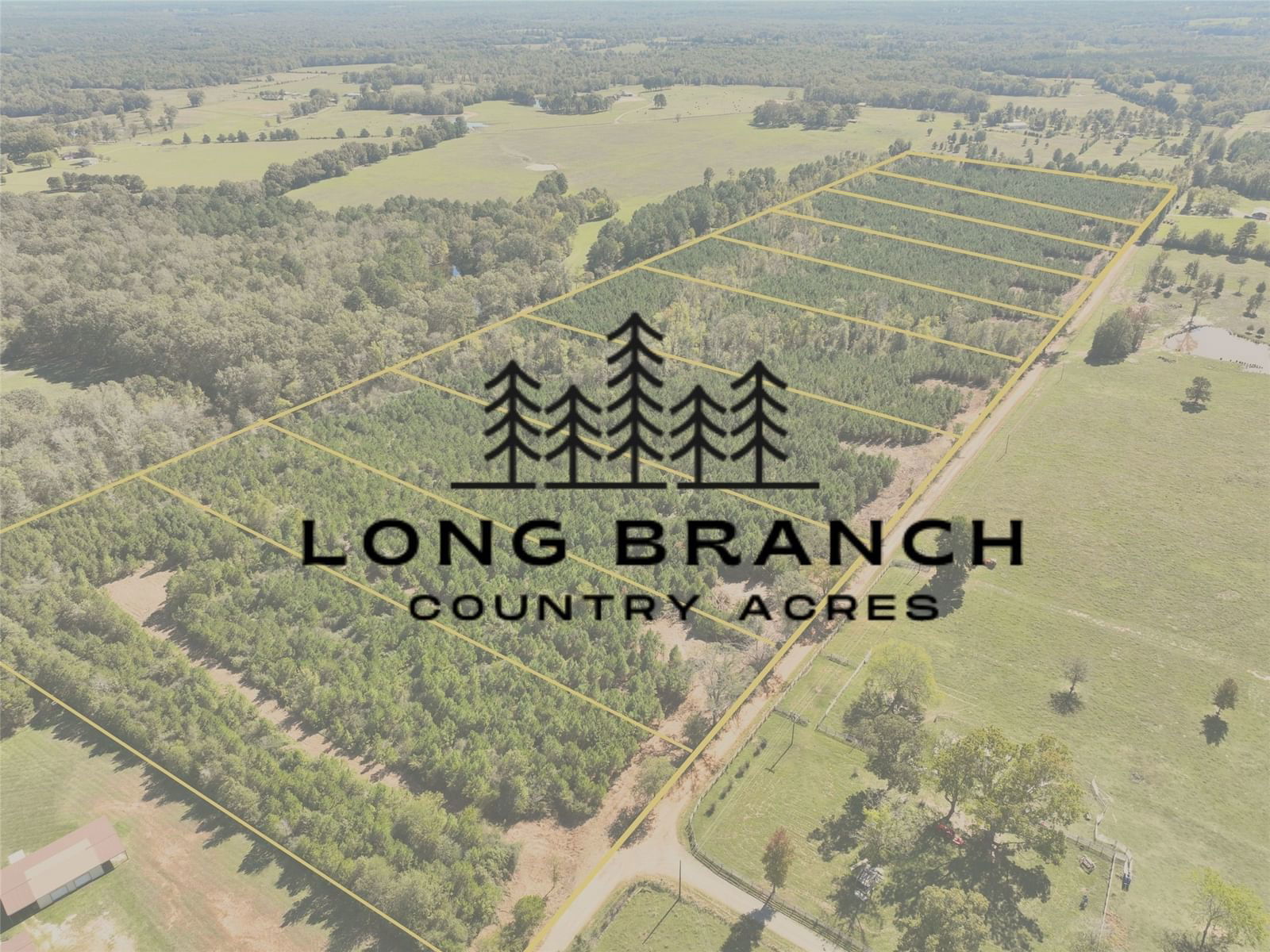 Real estate property located at 01 CR 3121, Panola, NA, Long Branch, TX, US