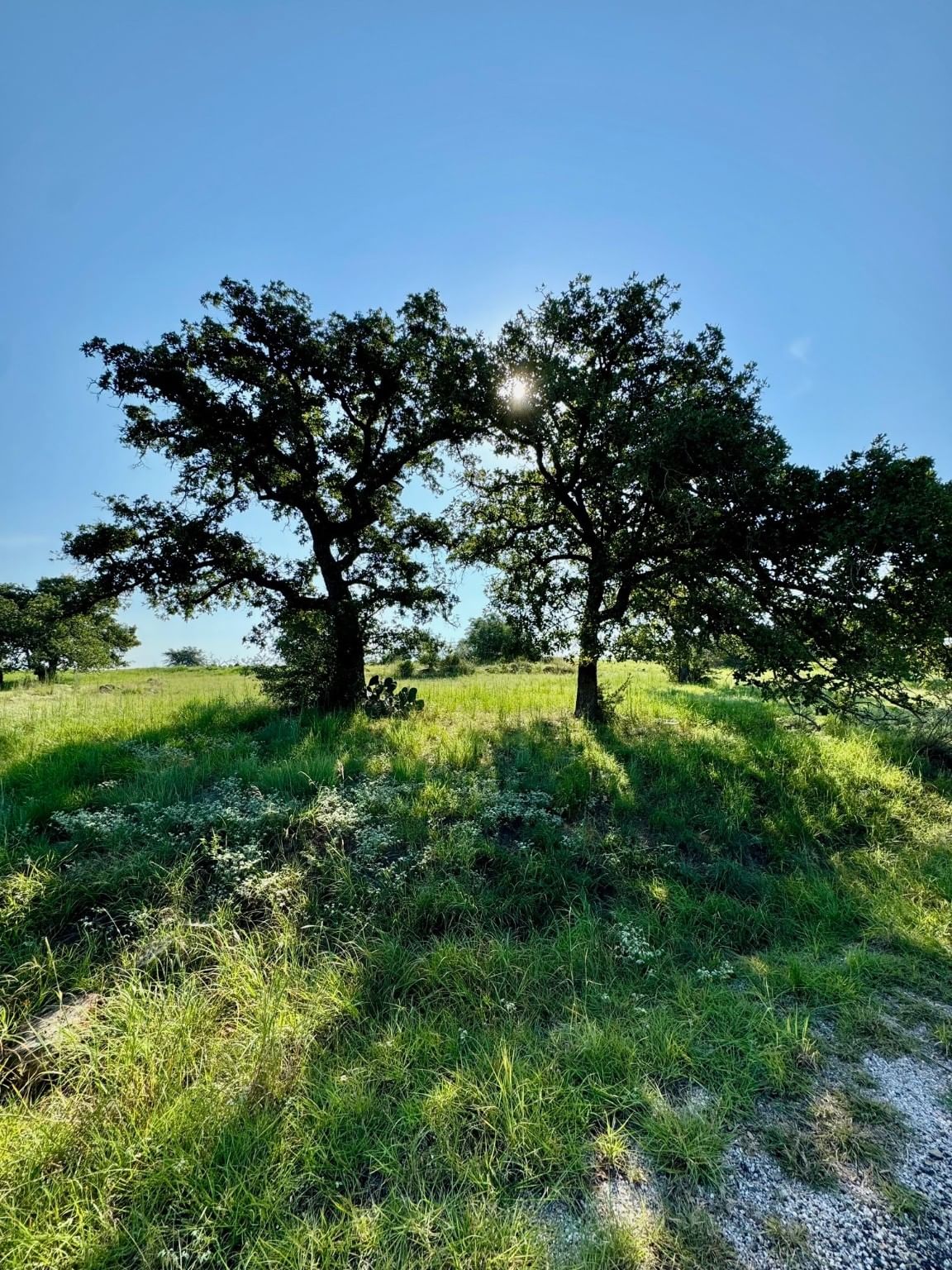 Real estate property located at 000 Bay West, Llano, Horseshoe Bay West, Horseshoe Bay, TX, US