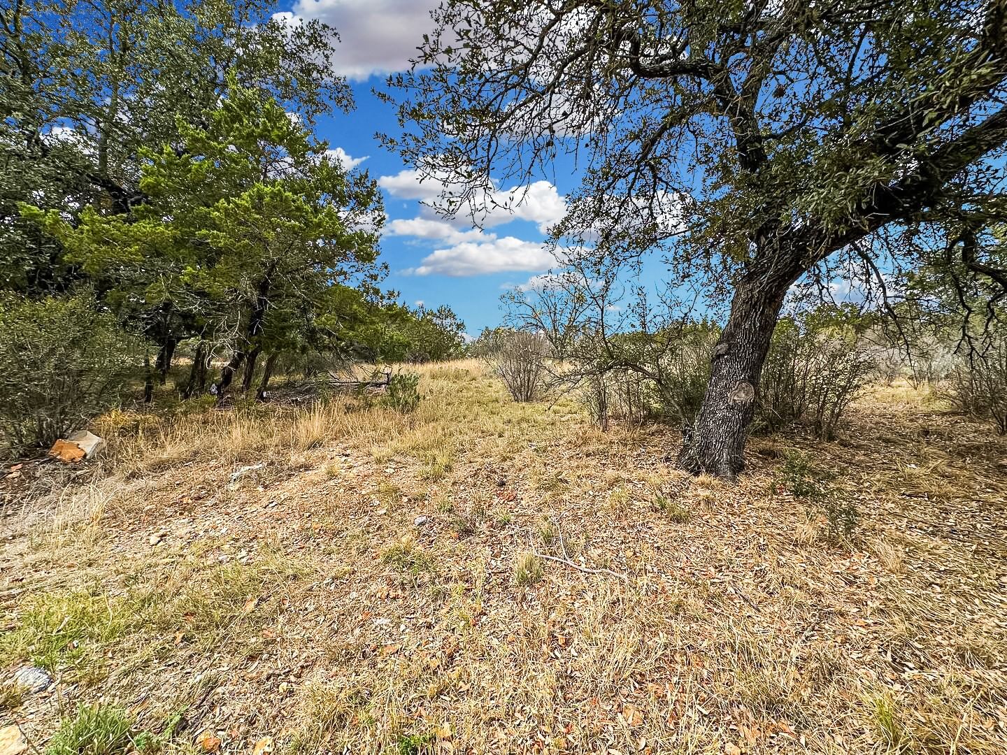 Real estate property located at TBD Silver Dollar, Burnet, Horseshoe Bay South, Horseshoe Bay, TX, US