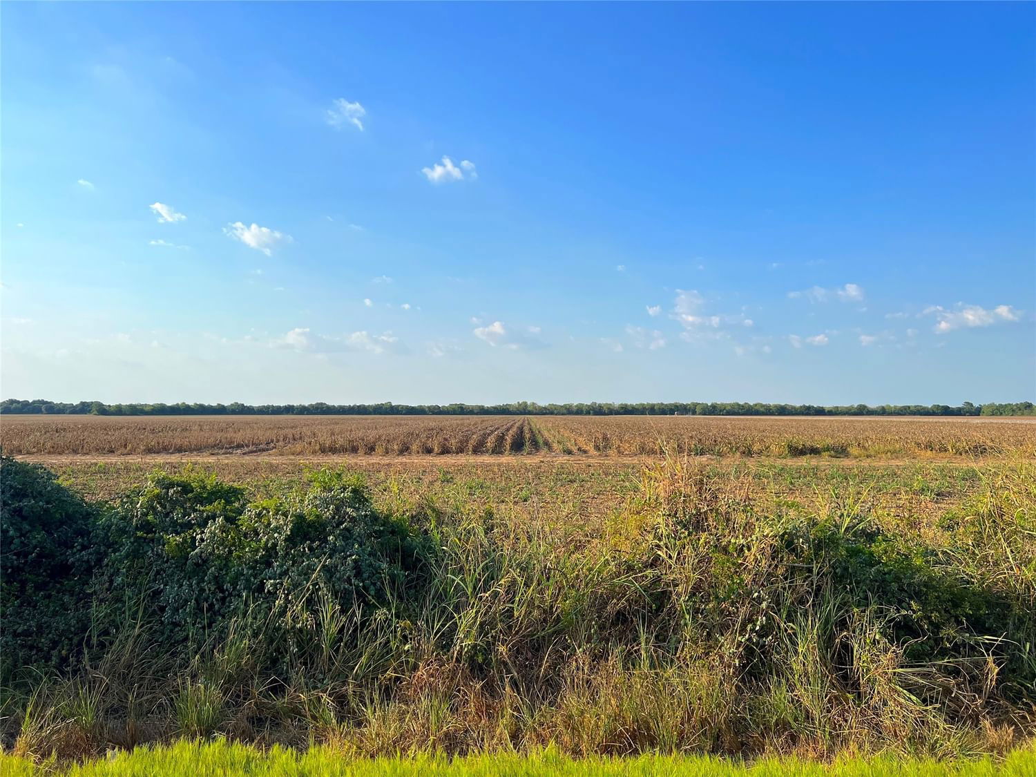 Real estate property located at Tract 4 Beard, Fort Bend, Geo Menefee, Needville, TX, US