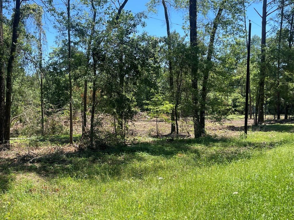 Real estate property located at 0 Davisville, Angelina, None, Lufkin, TX, US