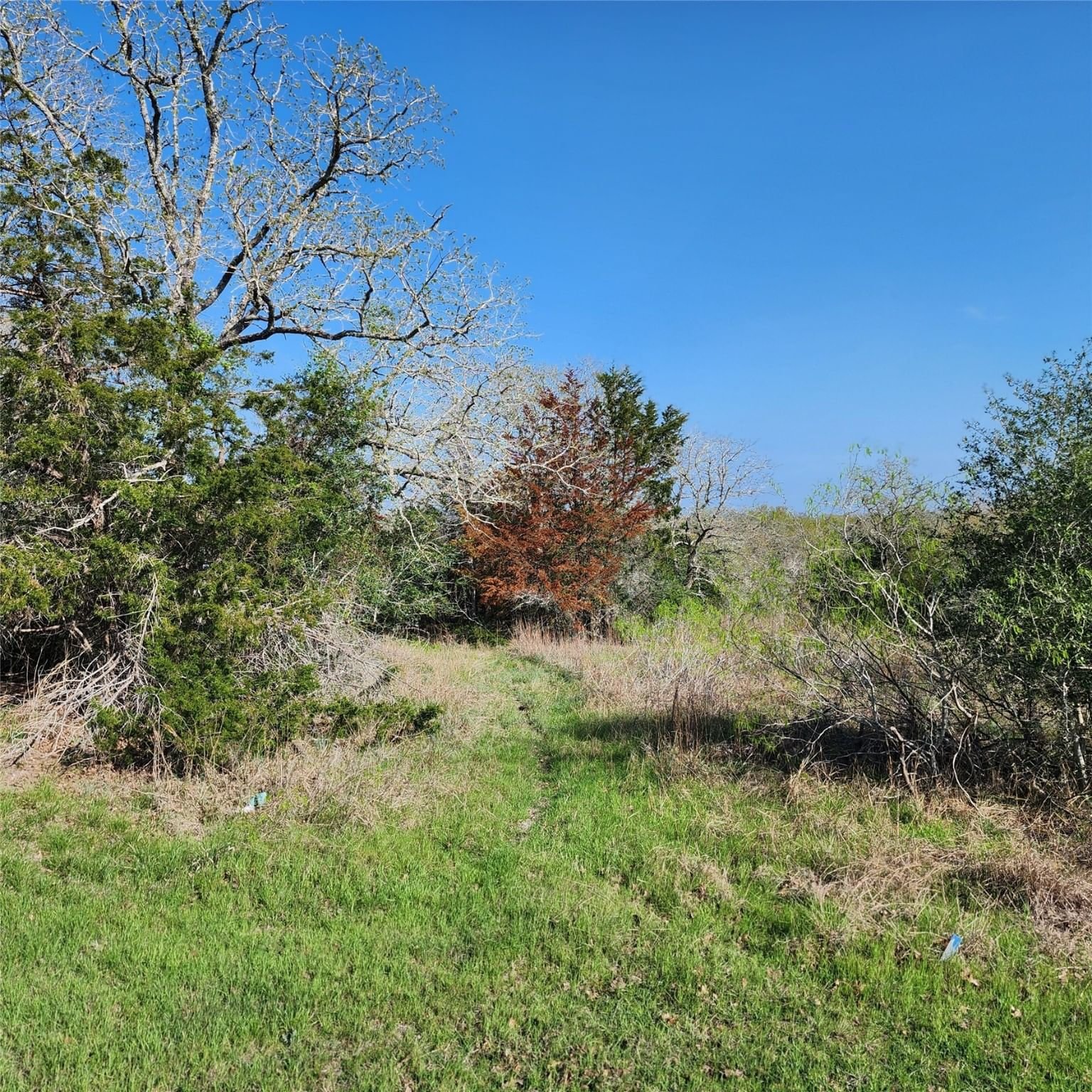 Real estate property located at TBD Lions Circle, Burleson, Birch Creek Village, Somerville, TX, US