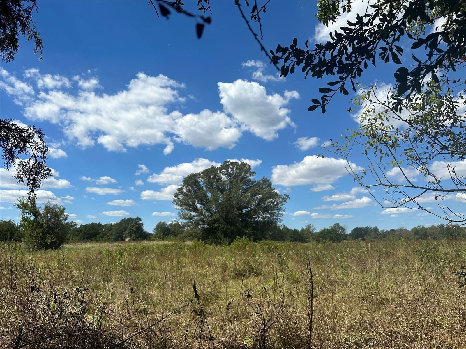 Real estate property located at 8AC CR 844, Freestone, Abstract 187 La Durham Surv, Teague, TX, US