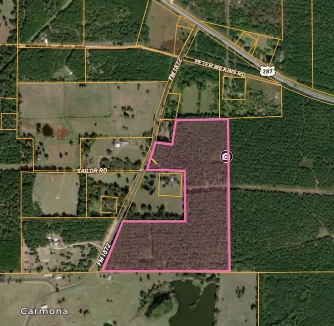 Real estate property located at 371 Fm 1872, Polk, None, Corrigan, TX, US