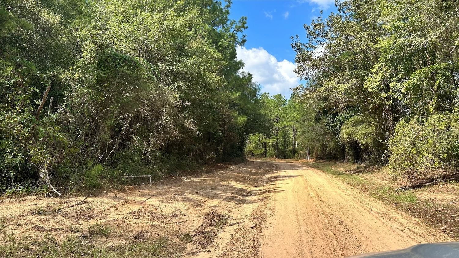 Real estate property located at TBD Sumerall, Polk, Livingston, TX, US