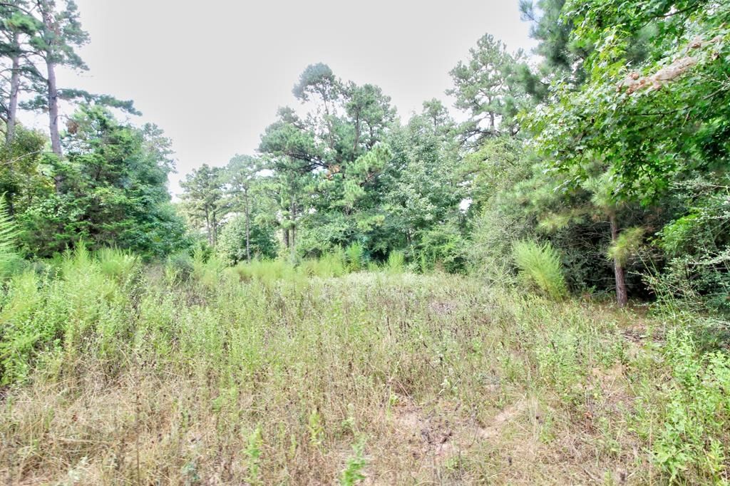 Real estate property located at TBD CR 751, Nacogdoches, None, Nacogdoches, TX, US