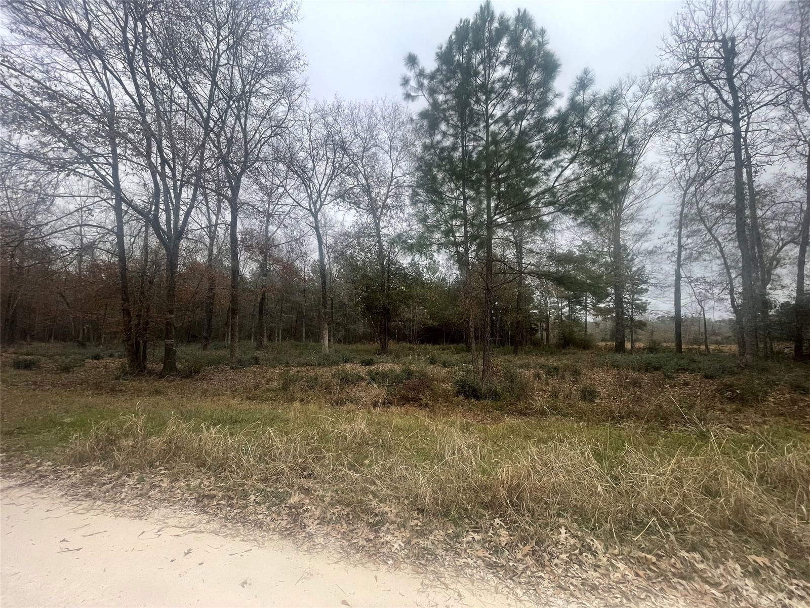 Real estate property located at Tract 3 Old Hwy 35, Polk, Marston Manor, Livingston, TX, US