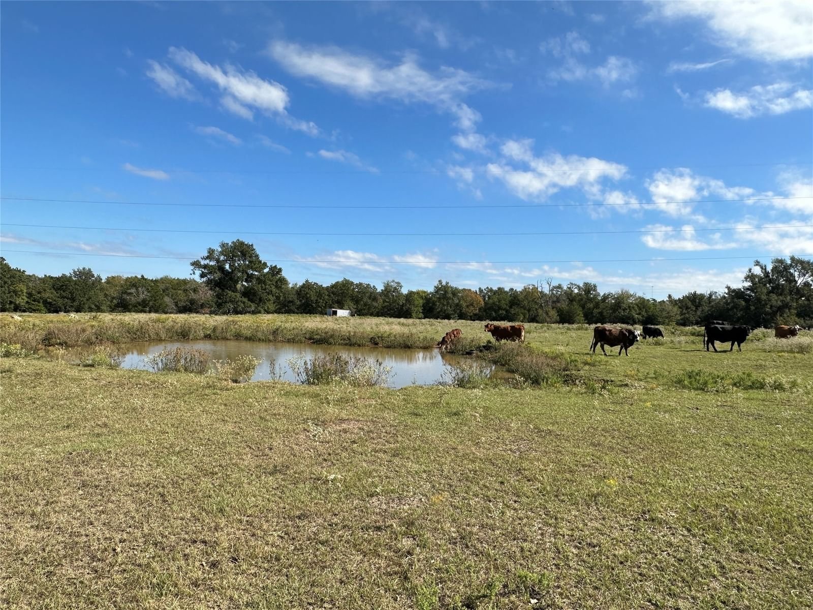 Real estate property located at TBD 9.176 Acres FM 489, Freestone, NA, Teague, TX, US
