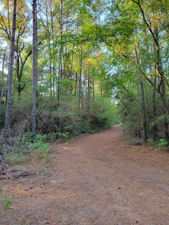 Real estate property located at TBD Honeylocust, Grimes, Pinebrook, Plantersville, TX, US
