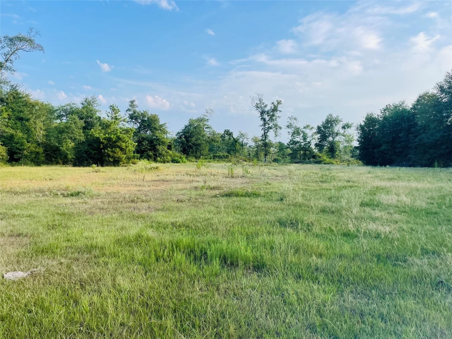Real estate property located at TBD TBD Denson Allen Tract 2, San Jacinto, Coldspring, TX, US