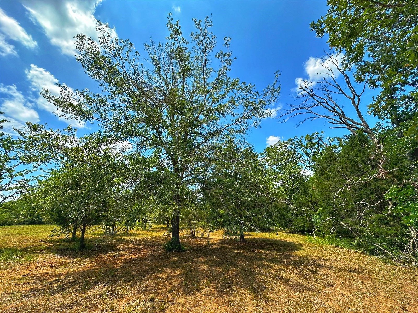 Real estate property located at 14 ac FCR 370, Freestone, None, Fairfield, TX, US