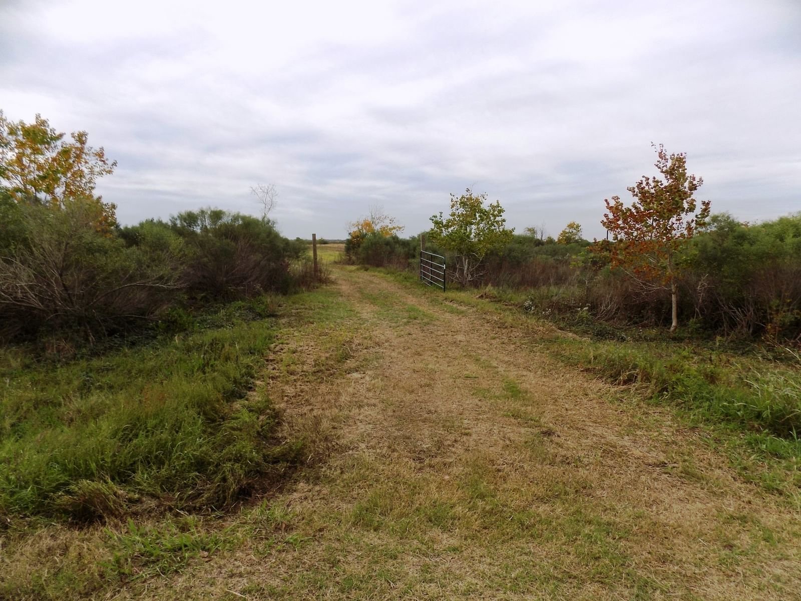 Real estate property located at 164 County Road 291, Matagorda, Caney Creek Haven, Sargent, TX, US