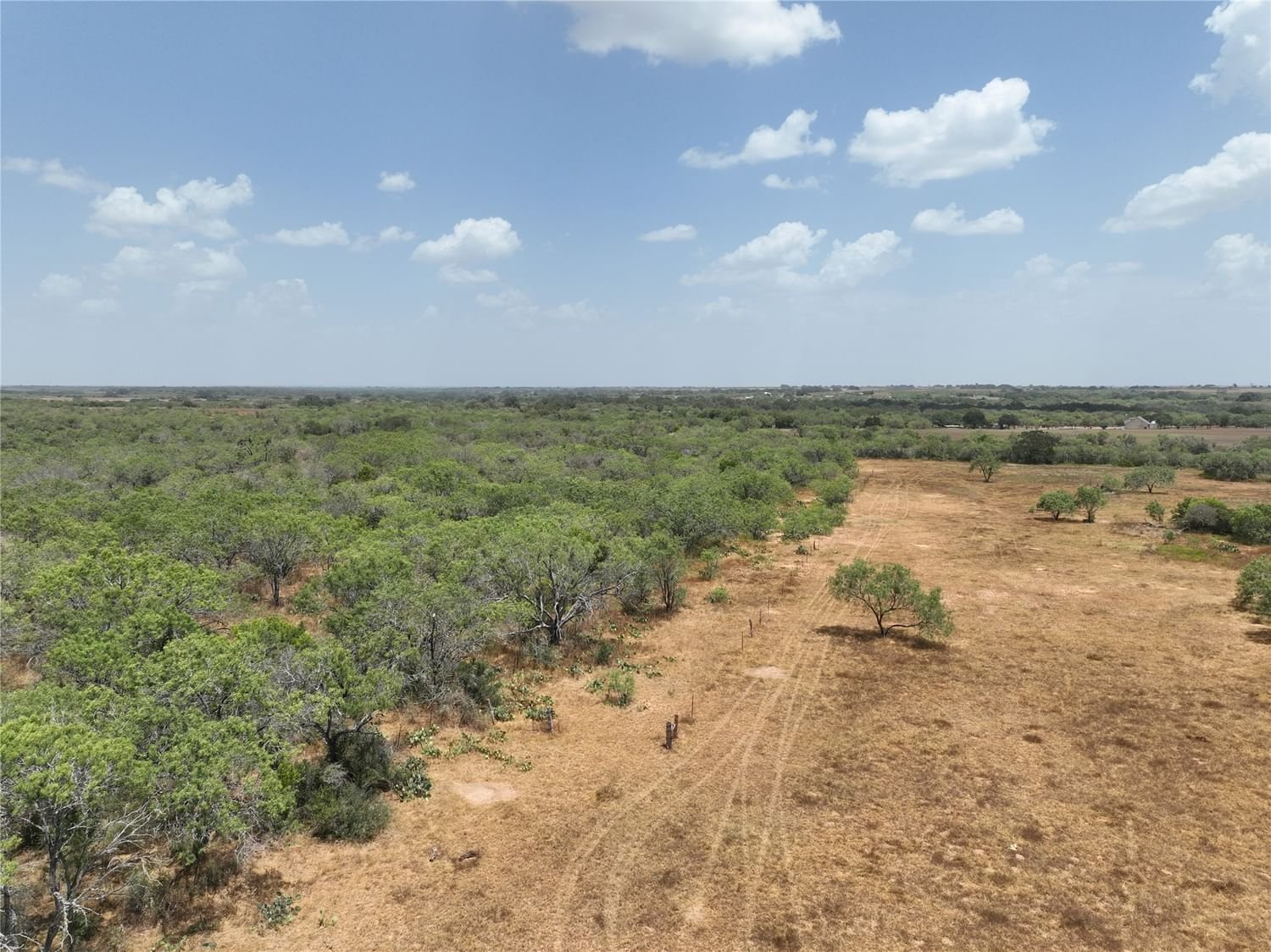 Real estate property located at TR 2 CR 124, Wilson, Floresville Rural, Floresville, TX, US